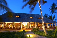 Palms