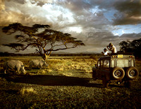 Safari Drives