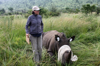 Rhino Tagging