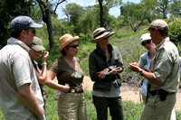 Bush Walks