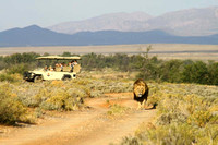 Game Drive